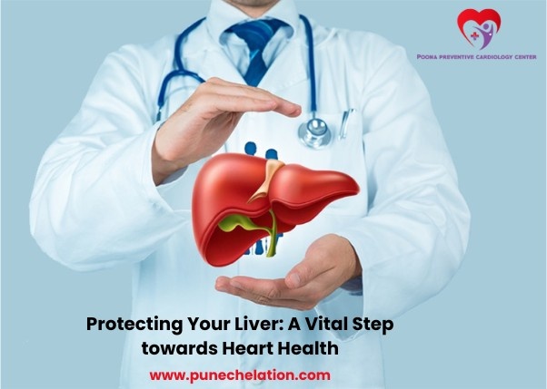 Liver and heart connection illustration showing metabolic balance